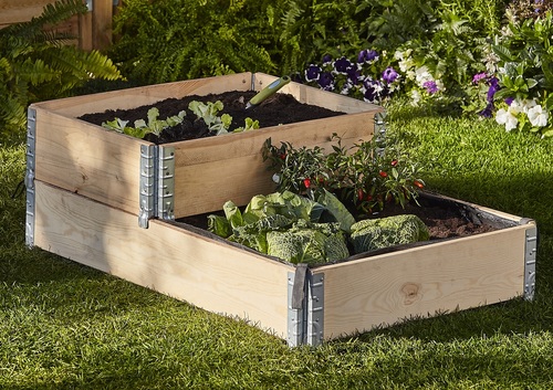 Jak zaprojektować i prowadzić swój ogród w sposób ekologiczny i zrównoważony